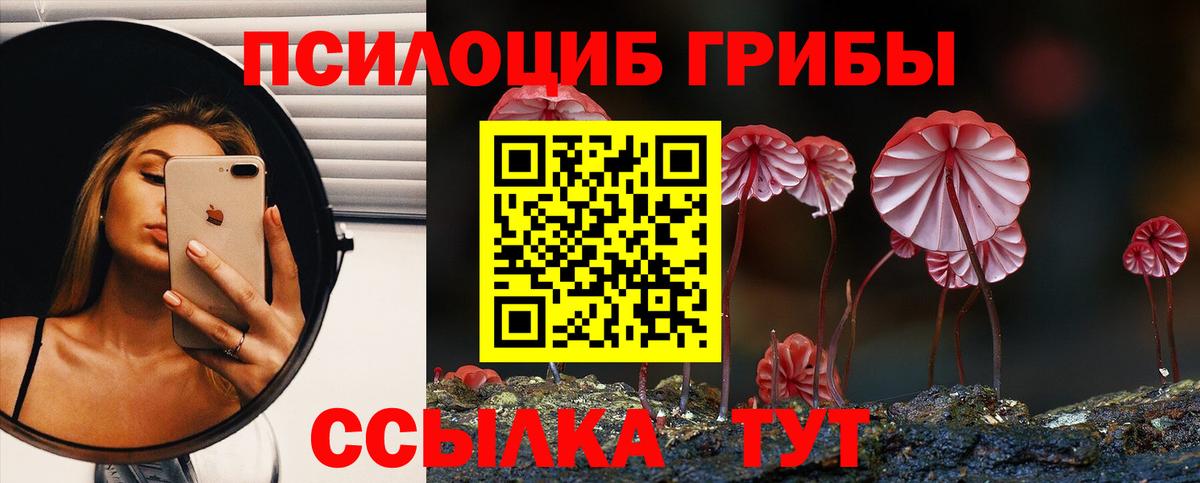 Елабуга  Галлюциногенные грибы Psilocybe  Вход с VPN 